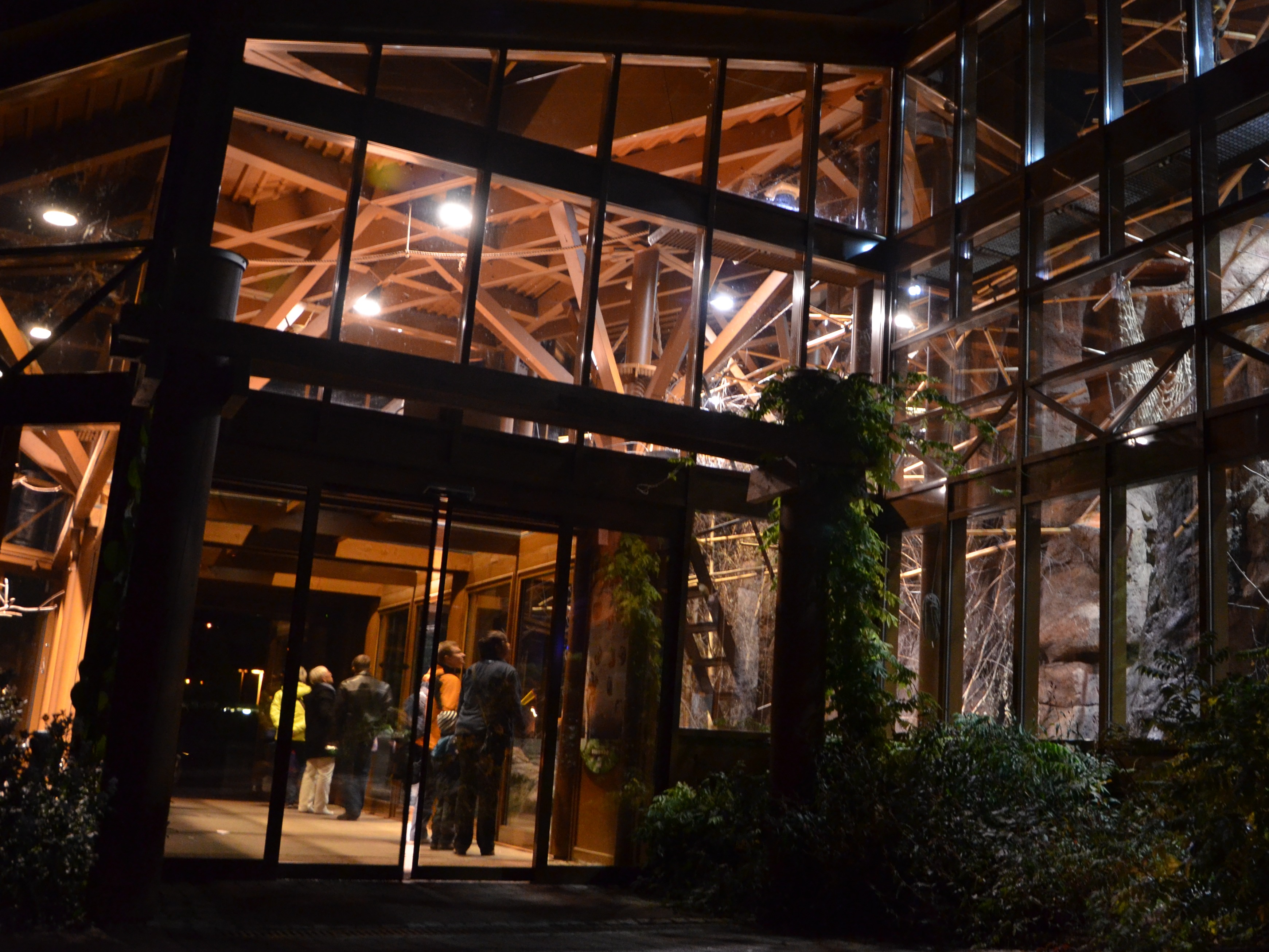 Gutschein – Exklusiv-Safari (120 min)