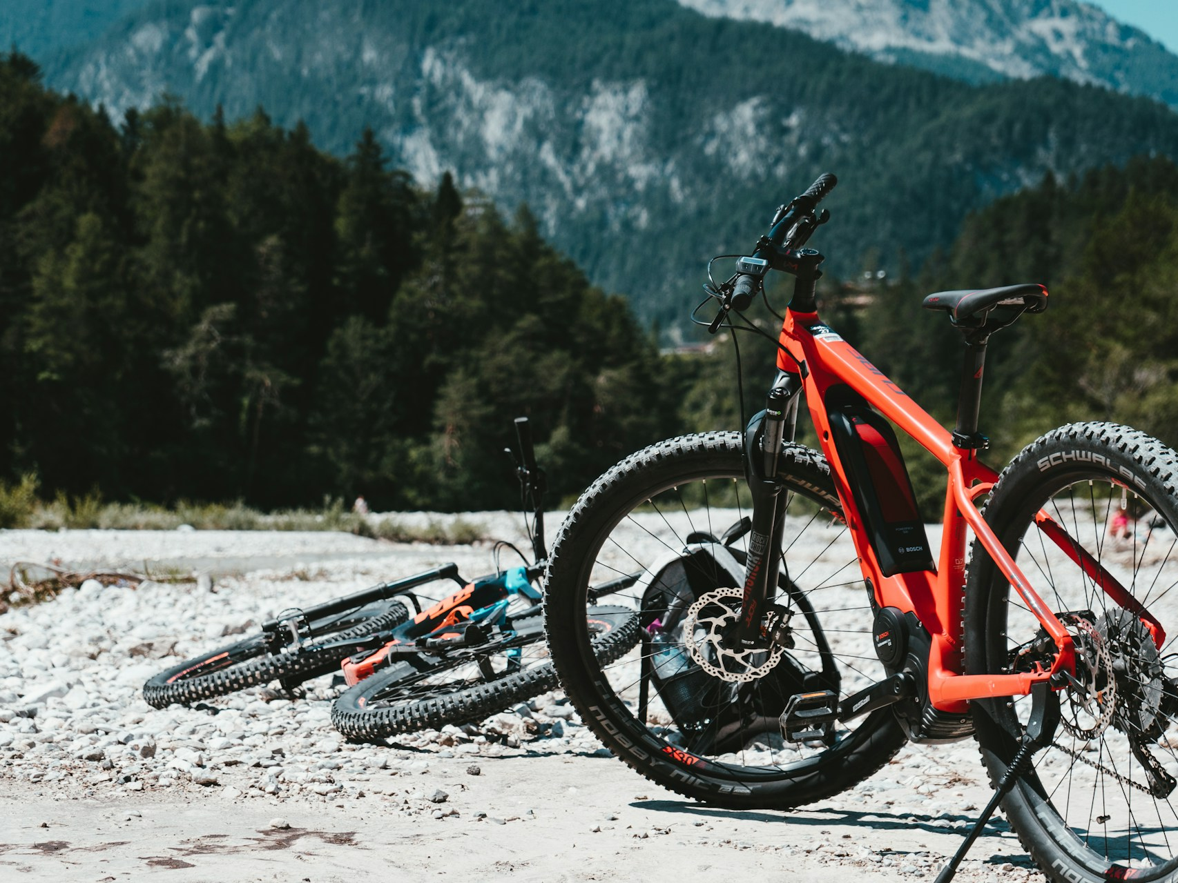 Neuer Gutschein für eine Tierbegnung