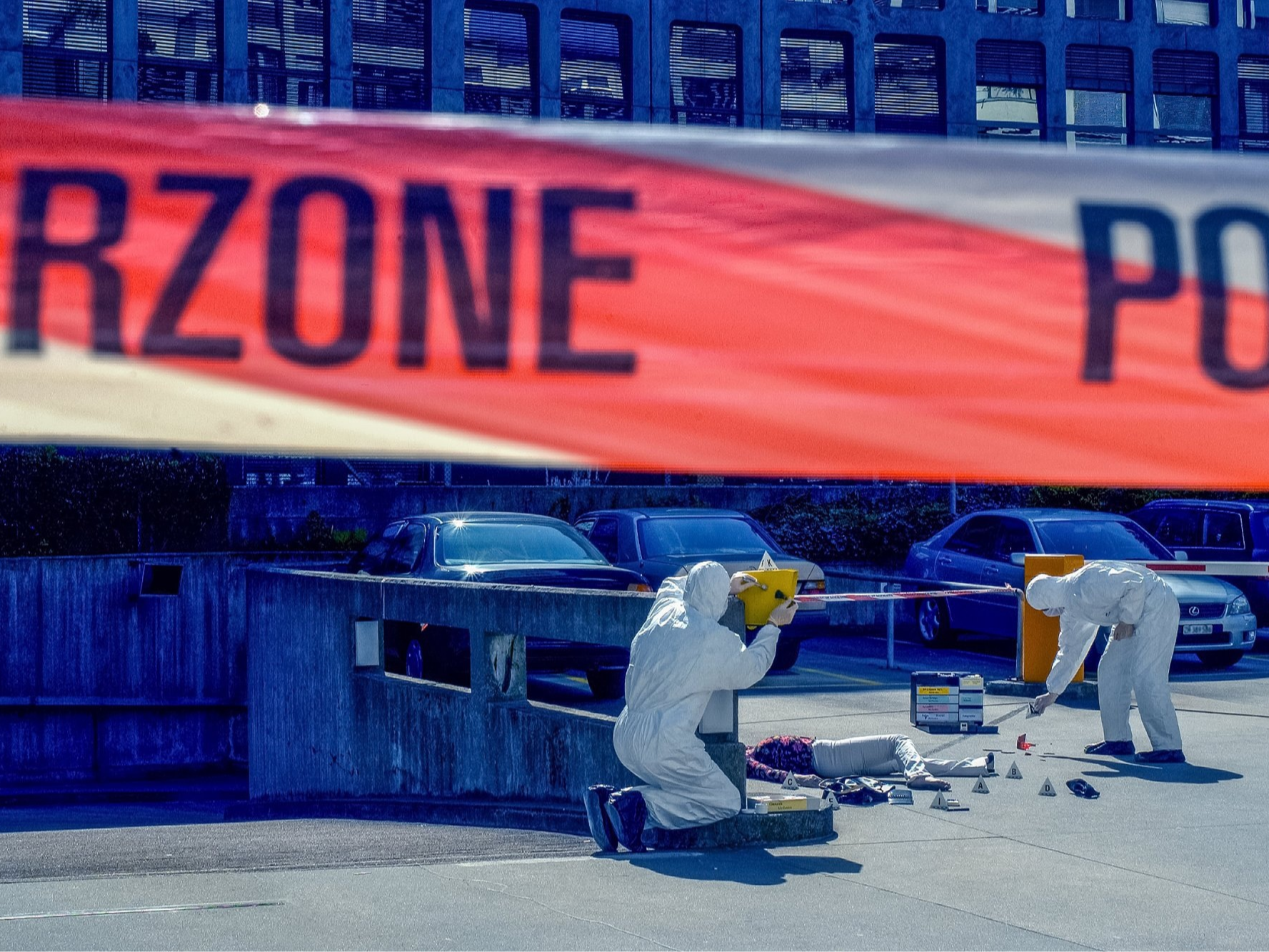 Serienkiller, Komplizen und Cold Cases